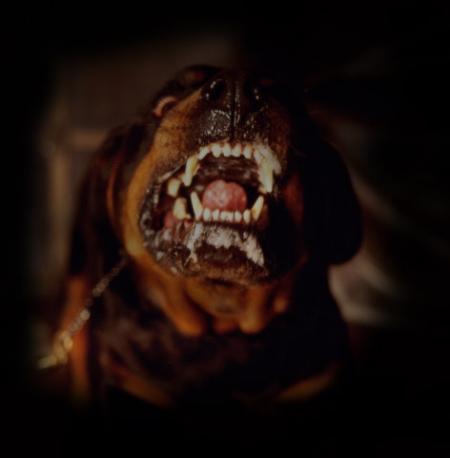rott