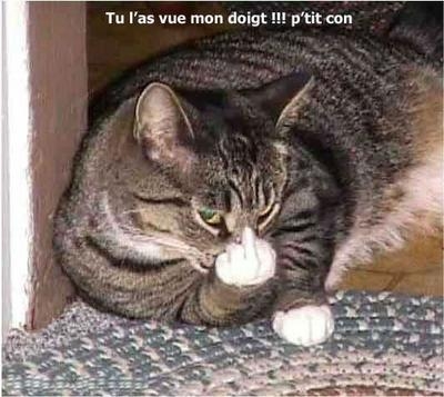 t marseillé ? bein tien 